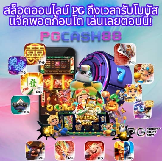 pg zeed 42
